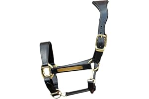 Equipride Anatomical Leather Headcollar, Supersoft Padded, Gold Fittings, Fully Adjustable (Black, Cob)