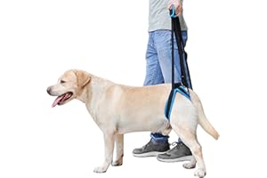MIGHTYDUTY Harnais pour Chien Handicapé Pattes Arriere Réglable Fournit Un Support Harnais de Levage Chien Aide Les Chiens âgés, Blessés ou Handicapés L