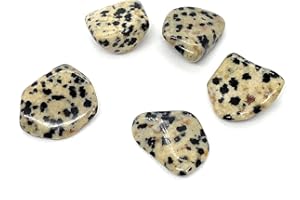 ENERGY IN HARMONY Dalmatian Jasper Small Crystal Tumbled Stones - 5 Pc