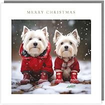 Biglietto Di Natale Per Amico Speciale - Design Con Pettirosso E Rose