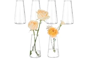 Hewory knoppvaser för blommor: 6 st små vaser för bordsdekoration – 13 cm hög liten glasvas modern blomvas set för bröllop mittpunkt, fest, födelsedag, vardagsrum, dekor, hem, babyshower