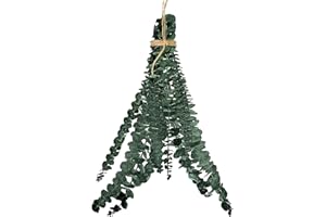 Amesor Girlanda eukaliptusowa na prysznic, wisząca roślina prysznicowa, naturalna roślina eukaliptusowa pod prysznic, prawdziwe liście eukaliptusa do dekoracji zieleni, wiszące rośliny do wewnątrz