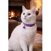 KEDİ BOYUN TASMASI ZİLLİ VE AYARLANABİLİR MOR