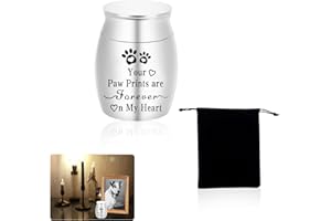 Bansusu Small Cremation Urns for Ashes, Stainless Steel Memorial Keepsake, Mini Funeral Urn for Human and Pet Ashes with Velvet Bag, No Longer By My Side, But Forever In My Heart (Silver)