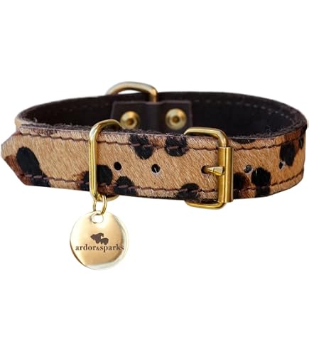 Shires Digby & Fox Hundehalsband, Größe M, Braun – Gepolstertes Lederhalsband Für Windhunde