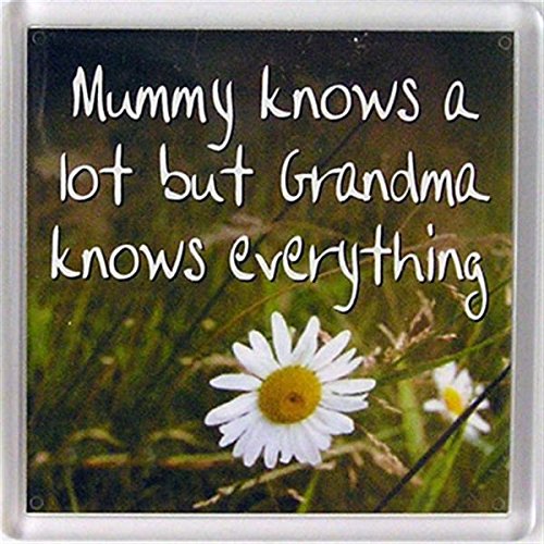 Fridge Magnet 047 Mummy knows a lot but grandma knows everything