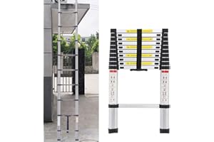 RIGOGO Scala telescopica da 2,6 m, in acciaio inox, antiscivolo, con 9 pioli, portata 150 kg