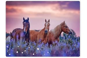 Violetpos 150 x 200 cm, flanelowy koc, miękki koc polarowy, narzuta na łóżko, liliowa, lawenda, 3 konie zachód słońca