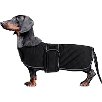 Extra Warme Hundejacke Für Große Hunde – Winddicht, Wasserabweisend, Mit Pelzkragen, Reflektierend, Rot 6XL
