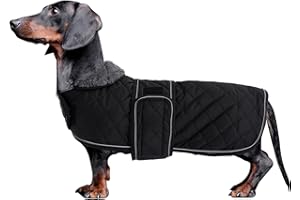 MOREZI Hundemantel Winter für Dackel - Wasserdichter Hunde Pullover mit Wolle Futter & Verstellbaren Gurten, Warmer Wintermantel für Kleine Hunde im Freien-Schwarz-M