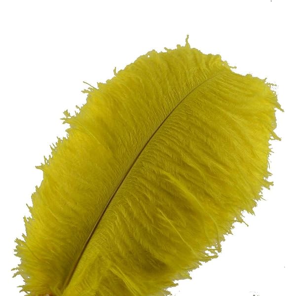 50 Piume Di Coda Di Gallo Tinte Naturali 30-35 Cm - Turchese - Per Cappelli, Costumi E Decorazioni