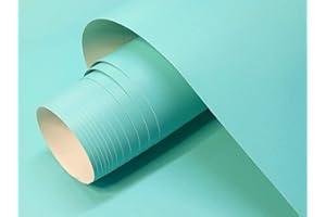 GOYAPRINT Vinilo Adhesivo Mate Color Menta de 60x300 cm Para Muebles Cocina Paredes Ventanas Manualidades Papel Adhesivo Decorativo (MENTA, 60x300 cm)