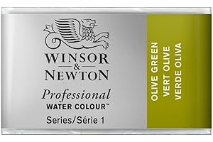 Winsor & Newton Professional - Vernici ad acquerello, vivaci e resistenti alla luce, pigmenti per artisti, GODET INTERO, colore: Verde Oliva