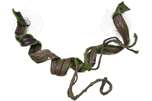 Hobby Terraristica Liana S I 50 x 5 cm I Aspetto Naturale I Particolarmente Flessibile I Sentirsi Reali per Rettili e Anfibi Abitanti Alberi