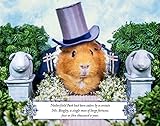 Image de A Guinea Pig Pride & Prejudice