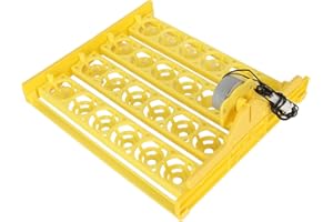 HEEPDD Bandeja de Incubadora de Huevos Bandeja de Volteo de Huevos Automática Profesional 24 Huevos Bandeja de Volteador de Huevos de Gran Capacidad Bandeja de Incubación de Huevos (AC220V)