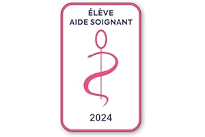 SIGNAL SAFETY Autocollant Sticker - Vignette Caducée 2024 pour Pare Brise en Vitrophanie - V6 Élève Aide Soignant