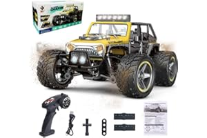 PENGBU RC Remote Controlled Car from 8 6 5 4 Years, Remote Controlled Car from 6 8 Years, Monster Truck Remote Controlled from 6 Years, 1/22 RC Car Children with Remote Control, 2.4 GHz, All Terrain