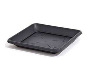 Plateau soucoupe en plastique TERRA 41 cm carré, anthracite couleur