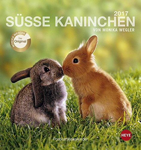 Kaninchen Postkartenkalender - Kalender 2017