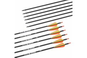ELONG OUTDOOR 28 30 31Inch Carbon Arrow Archery Hunting Targeting Arrows with 100 Grain Removable Tips for Archery Compound & Recurve Bow & Traditional Bow Target Practice Shooting