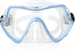 ‎EXP VISION Erwachsene Tauchmaske, professionelle Schnorchelbrille, Anti-Leck Taucherbrille, 180° Pano Anti-Fog Schwimmbrille Tempered Glas Tauchgerät Maske, Verstellbares Silikonband für Schnorcheln Schwimmen