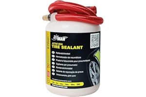 AIRMAN 64 – 010 – 013 Valve Through Sealant pneumatici sigillante, 620 ML