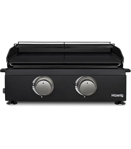Plancha Brasero Alicia II INOX - 2 Feux, Surface 52x34 Cm, Puissance 5 KW, Tiroir à Graisse - 2