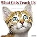 Produktbild What Cats Teach Us 2018 Calendar: Life's Lessons Learned from Our Feline Friends