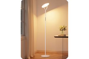 EDISHINE Lampada da Terra Salotto, LED 2500LM Super Luminoso, Dimmerabile in Continuo 2700K-6500K, Angolo e Altezza Regolabili, Lampada Terra con Telecomando e Controllo Tattile per Camera, Ufficio