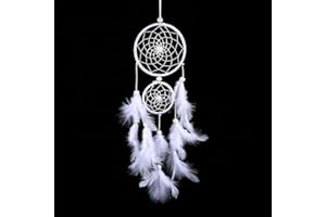 VIFERR Acchiappasogni con Piume, Dreamcatcher Campanelli Eolici Decorazione da Dppendere alla Parete a Perline Fatto a Mano per Casa Camera da Letto e Nozze