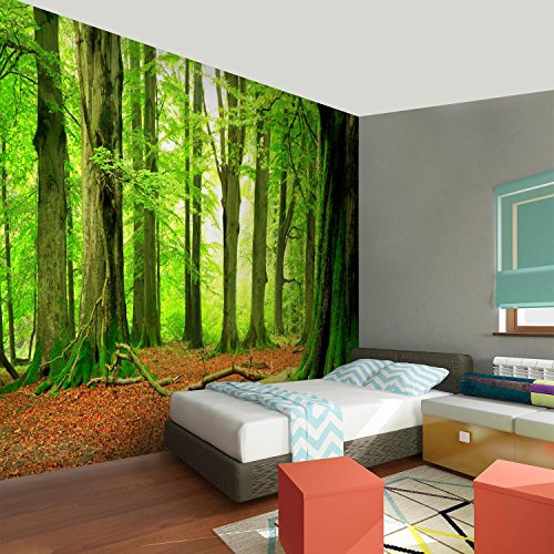 Fototapete Wald 352 x 250 cm – Vliestapete – Wandtapete – Vlies Phototapete – Wand – Wandbilder XXL – !!! 100% MADE IN GERMANY !!! Runa Tapete 9037011a - 5