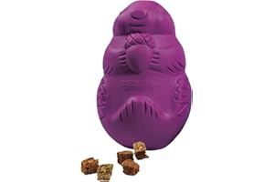 PetSafe Busy Buddy Squirrel Dude, Interactive Treat Dispensing Dog Toy - Chew Toy, Large Dogs
