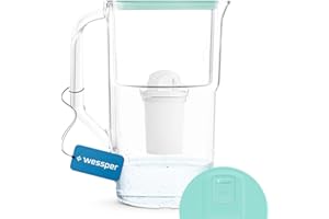 Wessper Dzbanek Filtrujący z licznikiem 2,8L + 1 Filtr Do Wody Do Dzbanków w Zestawie | Karafka Na Wodę z Filtrem - Zamiennik dla filtra Aquaphor Standard, Brita Classic, Dafi Classic | Miętowy