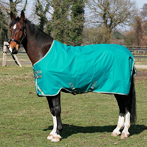 Preisvergleich Produktbild Horseware Amigo 0 g türkis 125 cm