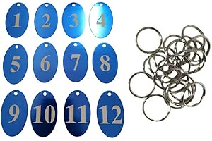 Sourcemall - Etiquetas numeradas de aleación de aluminio con llavero (azul, 1-100)