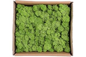 Warmiehomy Artificial Moss, Outdoor Fake Green Lichen Plants for Home, Garden, Patio Decoration Realistic Looking Garden Synthetic Turf 130g (Light Green)