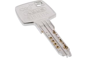 TONITEC 1x zusätzlicher Schlüssel zum gewählten ABUS EC660 Türzylinder, Schließzylinder, Außenzylinder und Vorhangschloss