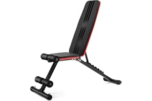 LPVS Banc de Musculation Pliable - Réglages Multiples 8 Positions - Développé Couché Inclinable Déclinable - Appareil Maison Compact - Chaise avec Dossier Confort – Support 300 kg - Entreprise Française