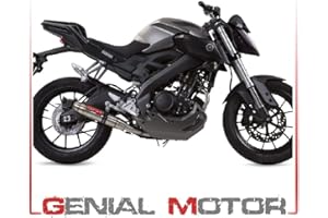 GPR Italia Scarico completo omologato e catalizzato GPR Mt 125 2014/16 Deeptone Inox Y.175.DE