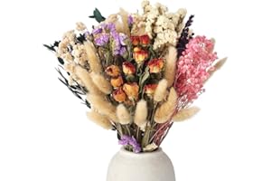 saerryor 51 Pcs Natural Dried Flowers，8 Kinds of Dried Flowers Set, Decorative Dried Flowers for DIY Dried Flower Bouquet, Vase Decoration