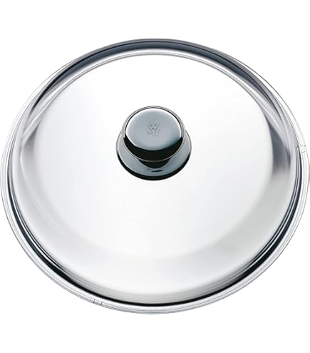 WMF 20 cm Kwaliteit Eén Deksel, Roestvrij Staal, 20cm WMF 20 cm Kwaliteit Eén Deksel, Roestvrij Staal, 20cm