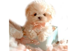 GYTFOG Robot Dog,My Realistic Robot Puppy,White Realistic Puppy with Soft Fur,Cute Realistic Dog Plush Toy for Kids for Birthday Gifts, Playtime, Gift for Pet Lovers