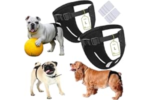 WAGVOGUE Braga Perro Celo Hembra.Bragas Perras Menstruales,Bragas Menstruales Perro Hembra,Bragapara Celo Perras- 2 uds Incluye 8 Toallas Sanitarias|Talla L,Negro