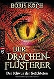 Image de Der Drachenflüsterer - Der Schwur der Geächteten (Die Drachenflüsterer-Serie, Band 2)