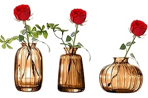 KMERCE Vaso da fiori in vetro marrone, mini vaso decorativo di design trasparente, decorazione per centrotavola, matrimonio, campo, battesimo, compleanno, regalo per festa della mamma