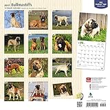 Image de Bullmastiffs 2017 Calendar