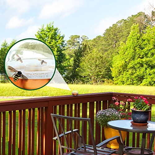 GARDIGO WESPENFÄNGER 2ER - 3