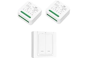 Tedeligo Interruptor inalambrico, Emisor De Radio Móvil Y Emisor De Pared 2 En 1, Mini Receptor Funciona Con Interruptor De Panel De Pared, Para Lámparas De Hasta 220V 3500W(1interruptor 2receptor)