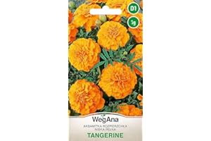 WegAna Seeds Caléndula Mandarina Naranja Pluma 1g - Anual - Poco exigente Plantas bajas - Plantas de jardín Plantas de balcón Abeja Pasto Flores Semillas